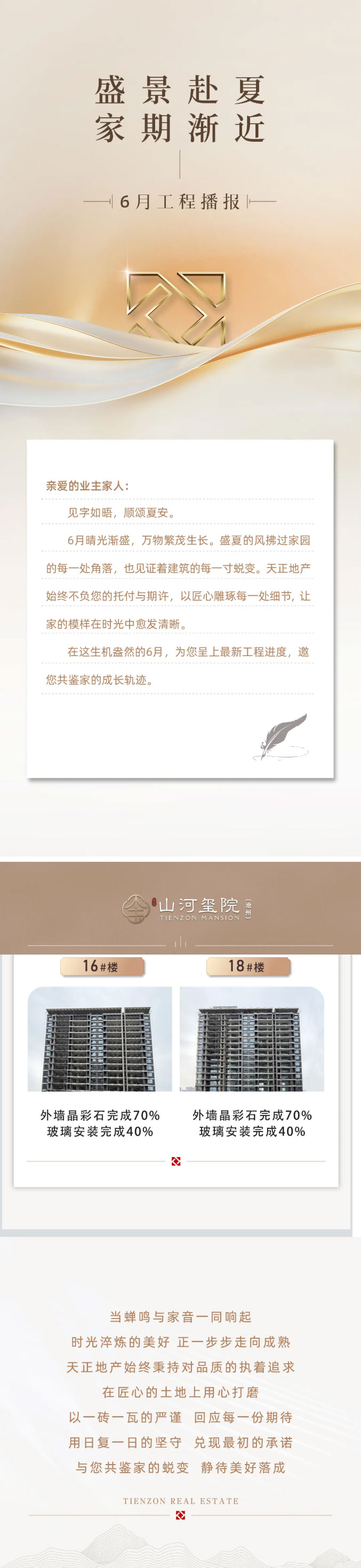 t3.jpg